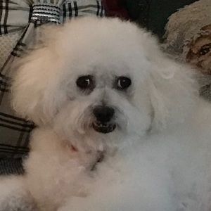 Meet your Posher, Debra